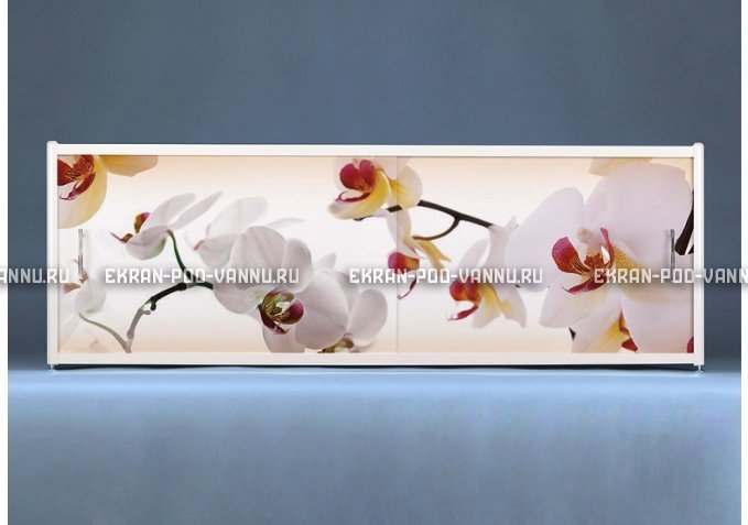 Раздвижной ФОТО экран - Orchid – купить по цене 8500 руб. в интернет-магазине в городе Астрахань картинка 1