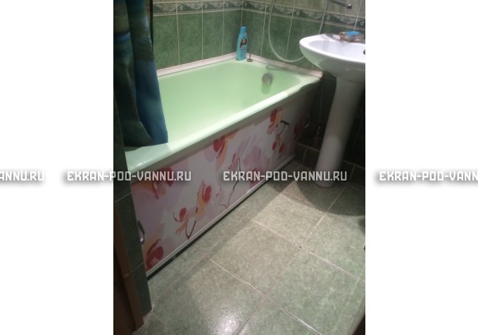 Раздвижной ФОТО экран - Orchid – купить по цене 8500 руб. в интернет-магазине в городе Астрахань картинка 5