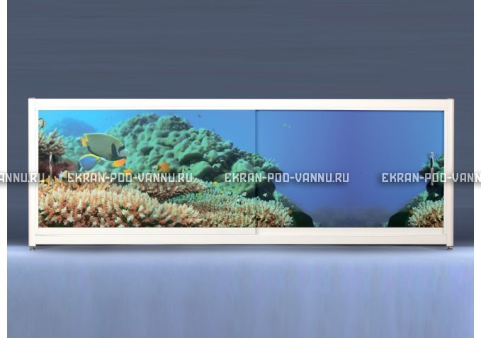 Экран на роликах EUROPLEX Коралловые рифы – купить по цене 12400 руб. в интернет-магазине в городе Астрахань картинка 1